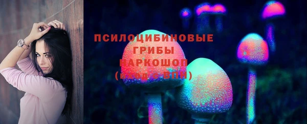 МДПВ Арсеньев