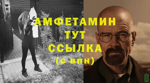 молекула духа Балахна