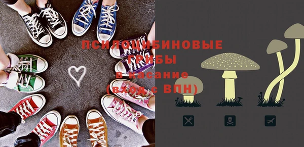 молекула духа Балахна