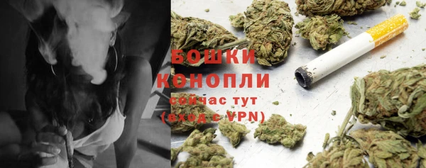 стафф Балабаново