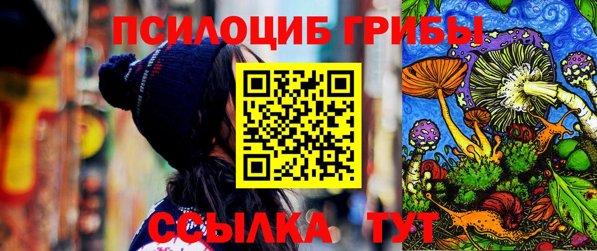 Белово  Галлюциногенные грибы Psilocybine cubensis  Вход с VPN 